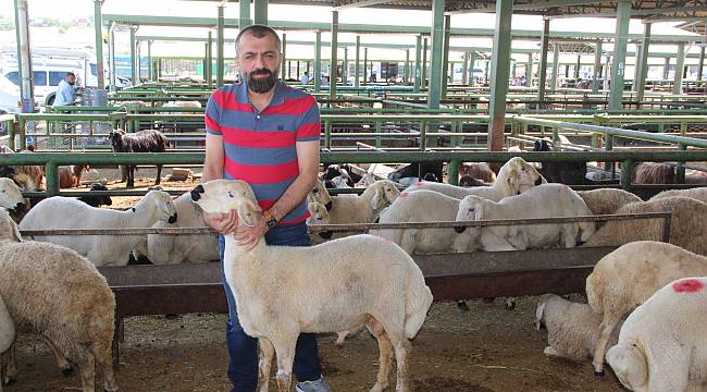 Birlik Başkanı Akın canlı hayvan pazarını ziyaret etti