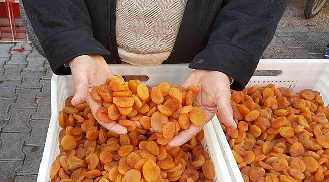 Kayısıya sıkı takip