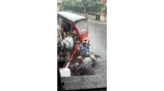 Büyükada&#39;da sahibi yere düşen atı yerlerde sürükledi