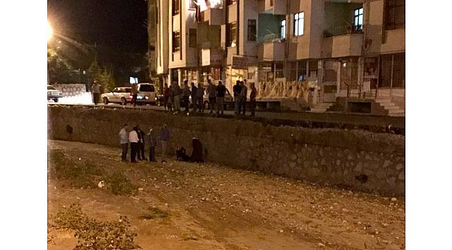 Korkulukları olmayan çaya düştü