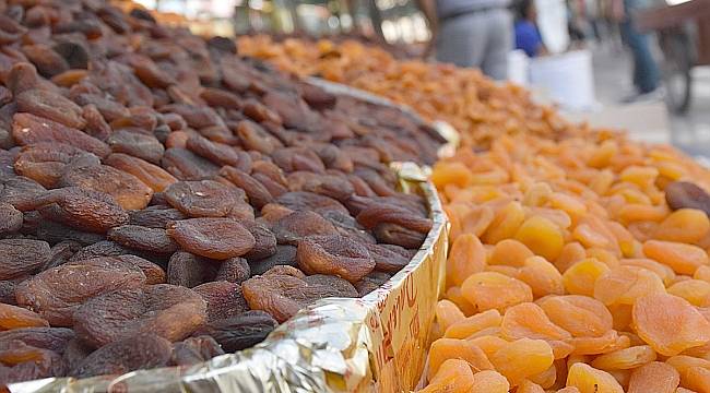 Kuru Kayısına İhracat Tahmini 100 Bin Ton