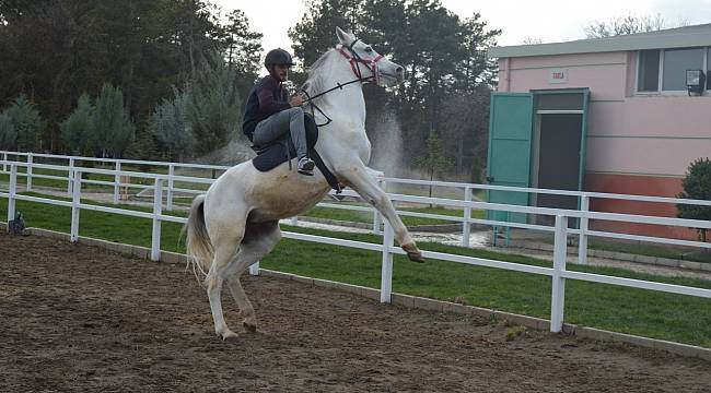 MTÜ Atçılık ve Atlı Sporları Uygulama ve Araştırma Merkezi kuruldu