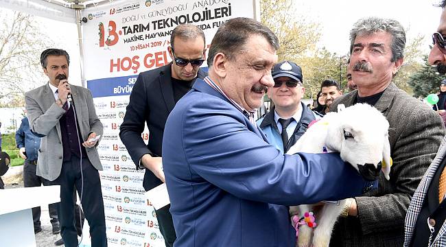 En Güzel Kuzu Yarışması Renkli Görüntülere Sahne Oldu