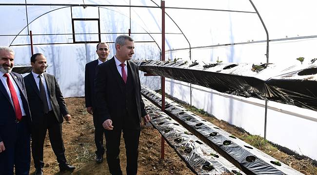 YEŞİLYURT BELEDİYESİ ‘YEŞİLGIDA SERACILIK’ ALANINDA TOPRAKSIZ ÇİLEK ÜRETİMİ BAŞLADI