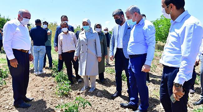 YEŞİLYURT BELEDİYESİ ÜCRETSİZ FİDE DAĞITTI, TARIM ALANLARI HAREKETLENDİ