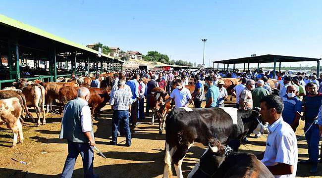 BAŞKAN ÇINAR, CANLI HAYVAN PAZARINI ZİYARET EDEREK YETİŞTİRİCİLERİN TALEPLERİNİ DİNLEDİ