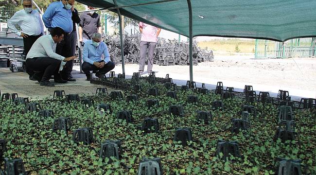 BATTALGAZİ BELEDİYESİ İLÇEYİ GÜZELLEŞTİRİYOR