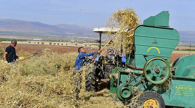 YEŞİLYURT BELEDİYESİ TARIMSAL ÜRETİM VE AR-GE SAHASINDA KURU FASULYE HASADI YAPILIYOR