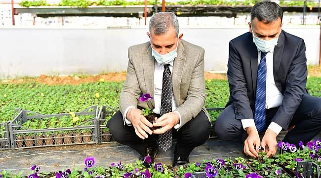 YEŞİLYURT BELEDİYESİ 100 BİN ADET MEVSİMLİK ÇİÇEK ÜRETİMİ YAPIP, EK BİR MALİYETTEN DAHA KURTULDU