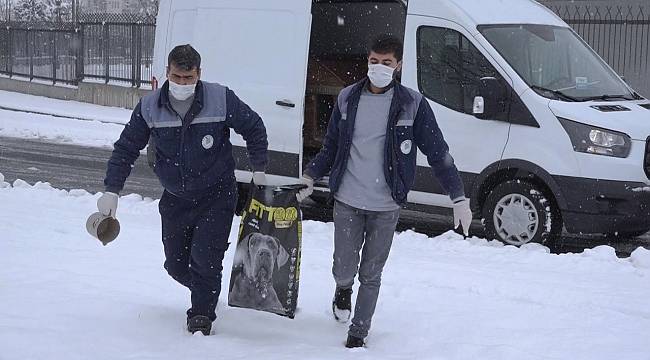 SOKAK HAYVANLARININ İMDADINA YEŞİLYURT BELEDİYESİ YETİŞTİ