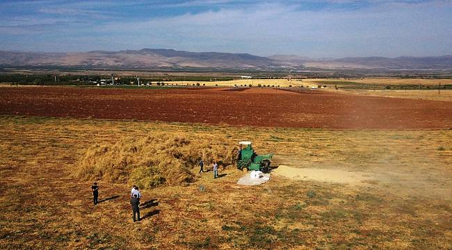 YEŞİLYURT BELEDİYESİ TARIMSAL ÜRETİM VE AR-GE SAHASINDA ÜRETİMLER HIZ KAZANDI