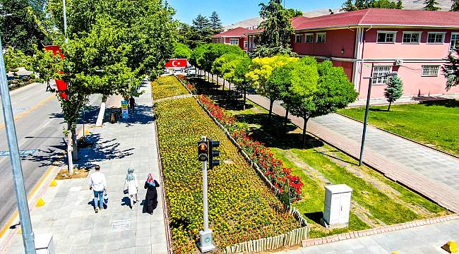 MALATYA PARKLARINI YAZLIK ÇİÇEKLER SÜSLÜYOR
