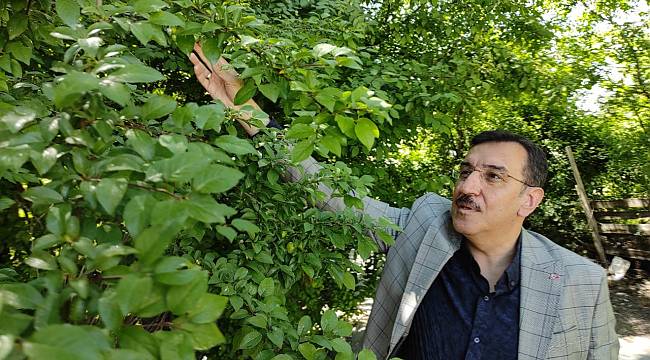 Tüfenkci gündemi değerlendirdi