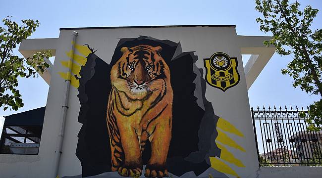 MALATYA CADDE VE SOKAKLARI RESİMLERLE GÜZELLEŞİYOR