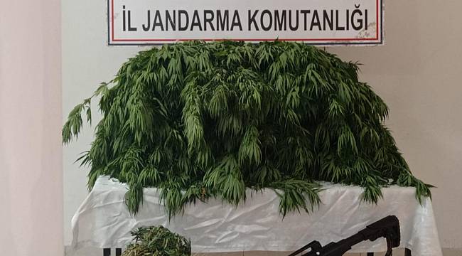 Malatya İl Jandarma Komutanlığınca yapılan istihbari çalışmalar neticesinde