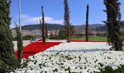 Baharın tüm renkleri Bursa’yı sardı
