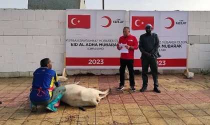 Türk Kızılay Kurban Kesimlerini Başlattı