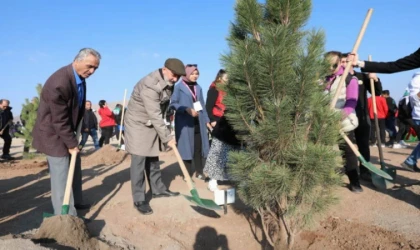 Kocasinan, yeni rekora hazırlanıyor